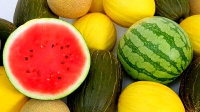 Wassermelone und Melone – gefährliche Beeren für Diabetiker